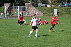 Team Lößfurth - SG Lok Falkenberg 2:16 (0:9)