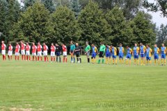 SG Züllsdorf - SV Blau Gelb 90 Sonnewalde 3:0 (1:0)